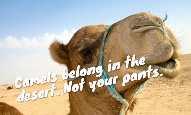 What is a Camel Toe? How to Avoid it in Jeans and Yoga Pants - The Yoga  Nomads