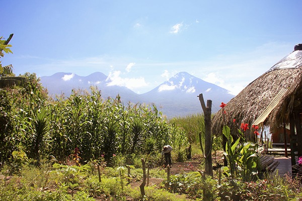 Guatemala yoga farm