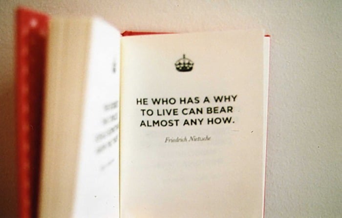 He who has a why to live quote