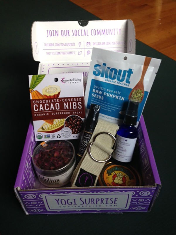 Yogi Surprise December Box