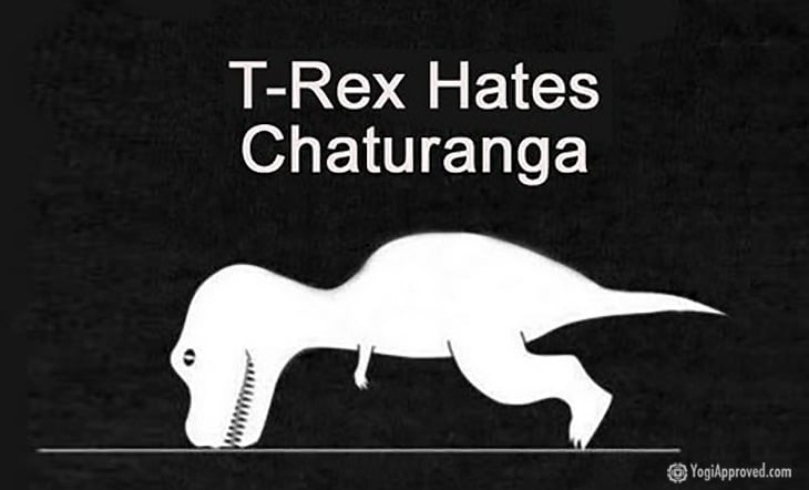 t-rex hates chaturanga