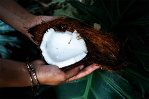 coconut-in-hands