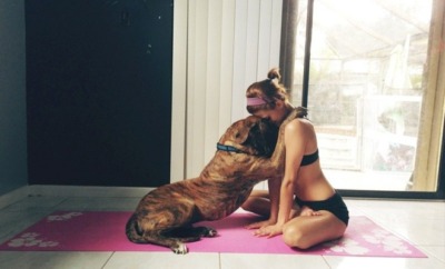 yoga with pets