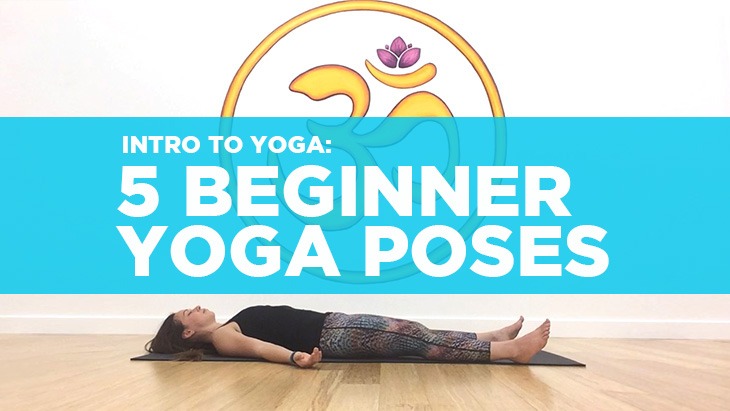 5 Beginner Yoga Poses (Video Tutorial) | YouAligned.com