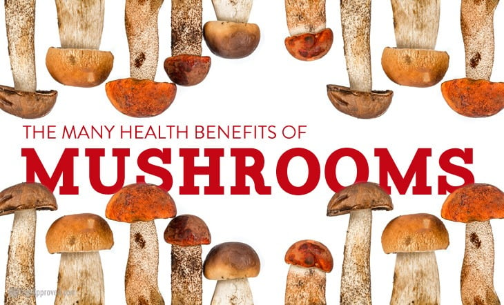 5 Key Health Benefits of Shiitake Mushroom – Earth Fed Muscle