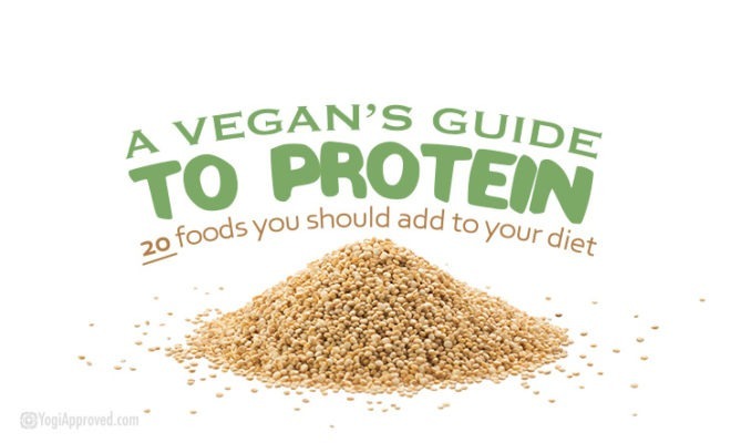 A Vegans Guide To Protein