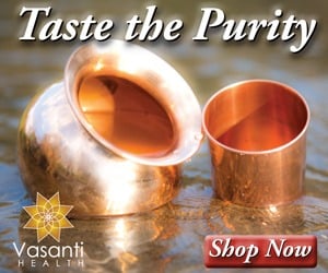 VASANTI_Yogi_300x250coupon