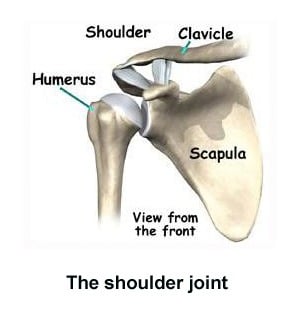 shoulder-joint