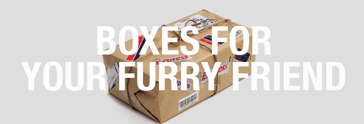 pets-subscription-boxes