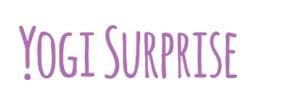 yogi-surprise-logo