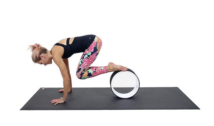 yoga-wheel-abs-plank