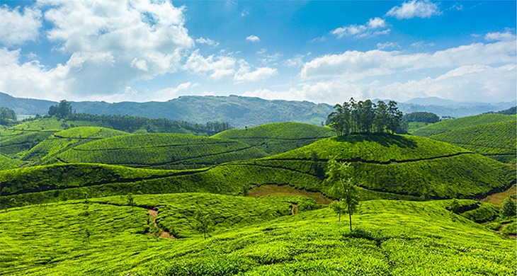 10_wayanad