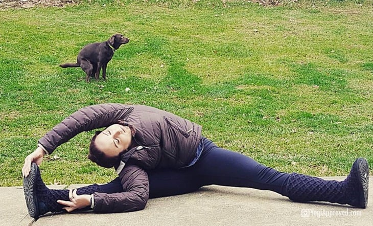 10 Hilarious Pet Yoga Photobombs on Instagram