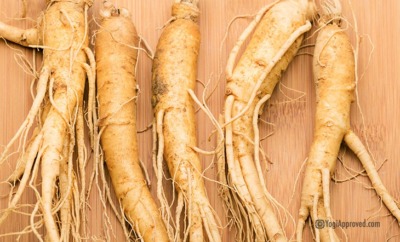 adaptogenic plants manage stress life featured