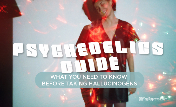 Psychedelics Guided