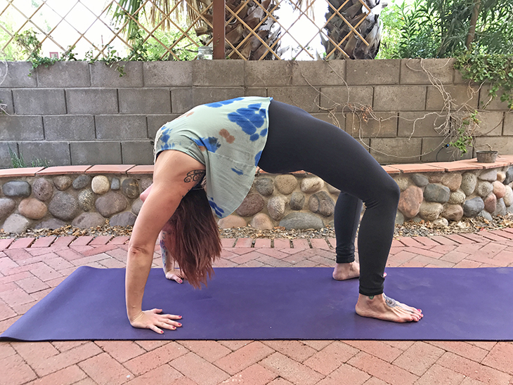 Longest time to hold two yoga poses (wheel pose, bow pose) - World