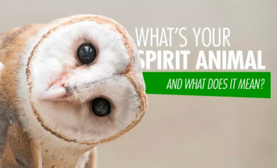 spirit animal