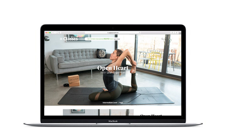 ya-classes-online-yoga