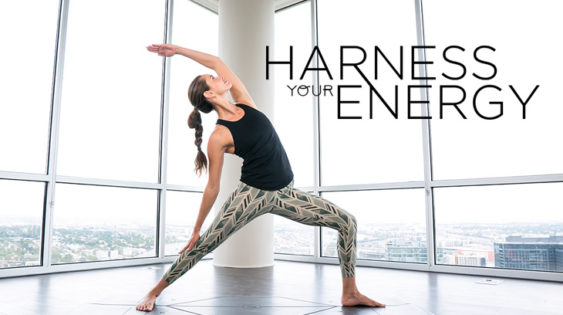 Harness Your Energy