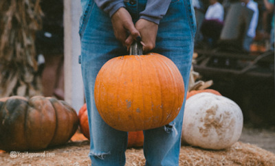 fall is here