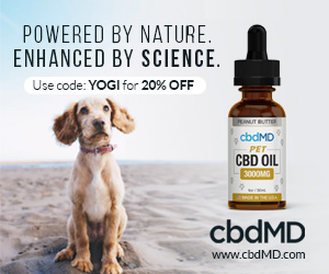 cbd for pets