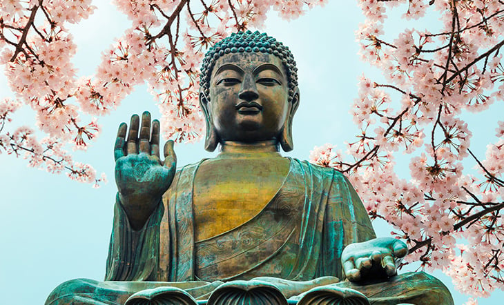 Buddha Causes Of Suffering