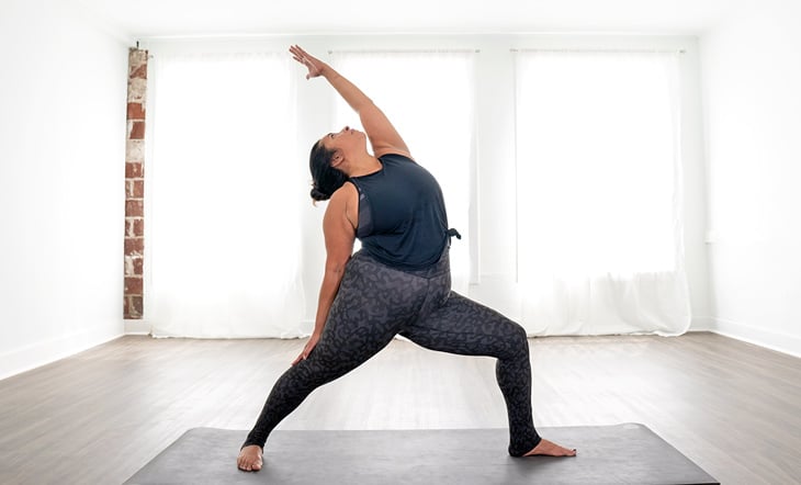 Revolved Vinyasa