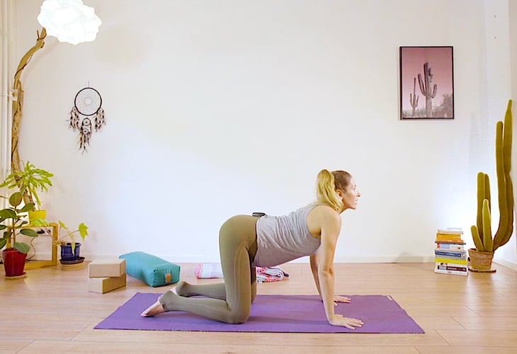 Yoga Inversions for Pregnancy