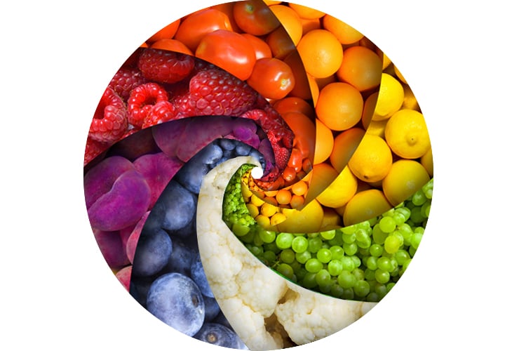 food color wheel2