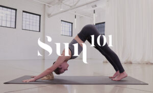 Sun101d