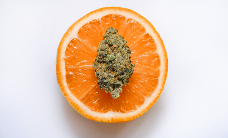 Terpenes Marijuana Oranges Lavender