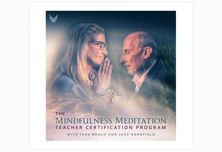 Sounds True Mindfulness Meditation Teacher Certification