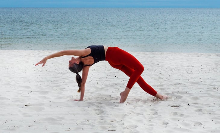 Yoga Maiden on X: 🐶🐶Flip Your Dog Into Wild Thing⁠🐯🦁 ⁠#yoga