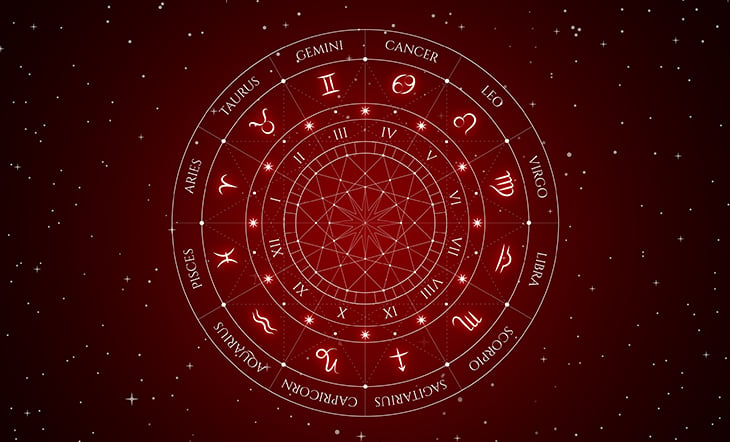 Natal Chart Zodiac Houses