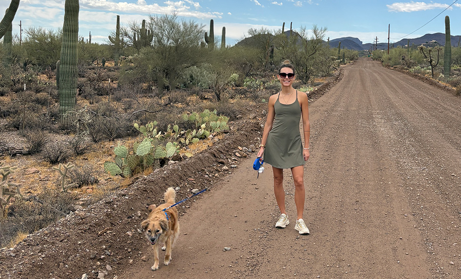 ashton in the desert ashton in the desert